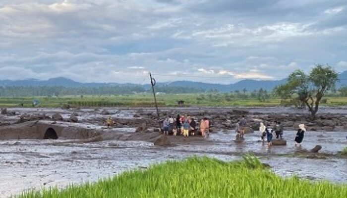 Reklamasi Lahan Pertanian Terdampak Bencana Dikebut