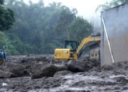 Ratusan Ternak Mati Akibat Banjir Bandang dan Lahar Dingin Marapi