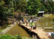 Padang Panjang Kebut Pemulihan Ekonomi Pascabanjir Bandang