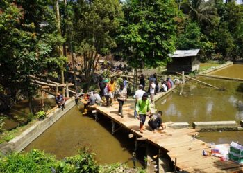 Masyarakat membangun jembatan darurat yang ambruk usai diterjang banjir bandang di Padang Panjang. IST