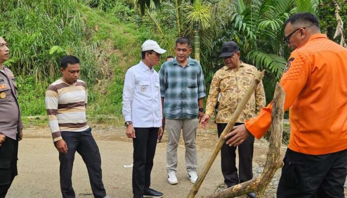 Kabupaten Lima Puluh Kota Harus Bangkit dari Bencana Alam