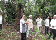 Kerap Dilanda Banjir, Bupati Hamsuardi Tinjau Lokasi Rencana Pembangunan SDN 08 Sasak Ranah Pasisie