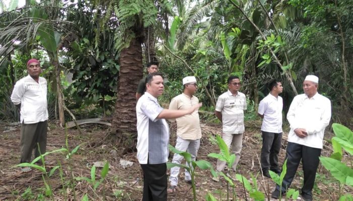 Kerap Dilanda Banjir, Bupati Hamsuardi Tinjau Lokasi Rencana Pembangunan SDN 08 Sasak Ranah Pasisie