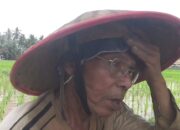 Petani di Kota Solok Lakukan Tanam Padi Serentak