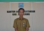 Dinas Pertanian Kabupaten Sijunjung akan Periksa Kesehatan Hewan Kurban