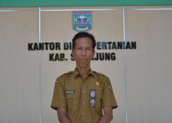 Dinas Pertanian Kabupaten Sijunjung akan Periksa Kesehatan Hewan Kurban