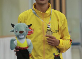 Farel Zaidan Nafisa, Raih Prestasi Bidang Olahraga hingga Menjadi Duta