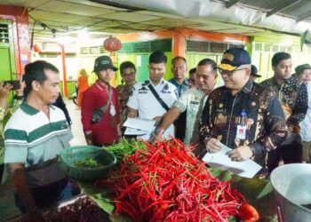 Pj Wako Padang Sidak ke Pasar Alai dan Tanah Kongsi