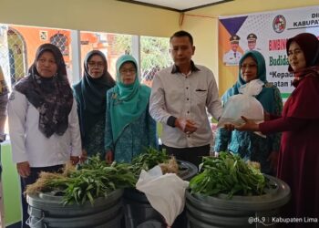 Gabungkan Budidaya Ikan dan Tanam Sayur Secara Aquaponik, Begini Budidaya Budikdamber Ala Warga Tatantang!