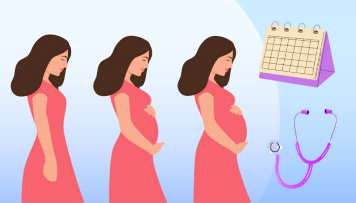 Dinkes Ingatkan Bumil Periksa Kehamilan Minimal 6 Kali