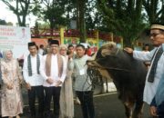 Pemkab Solok Selatan Kurban 44 Ekor Sapi