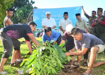 Iduladha 1445 H, BSI Regional 3 Palembang Salurkan 73 Hewan Kurban