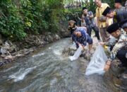 Bangun Perekonomian Daerah Bupati Sijunjung Tebar 10 Ribu Benih Ikan Nila