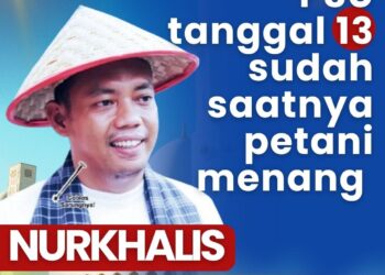 #PetaniMenang Tak Terbendung, Aktivis Lintas Generasi Luhak Limo Puluah Solid Dukung Nurkhalis