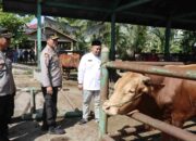 Jelang Iduladha Kapolres Pasbar dan DPP Tinjau Pasar Ternak