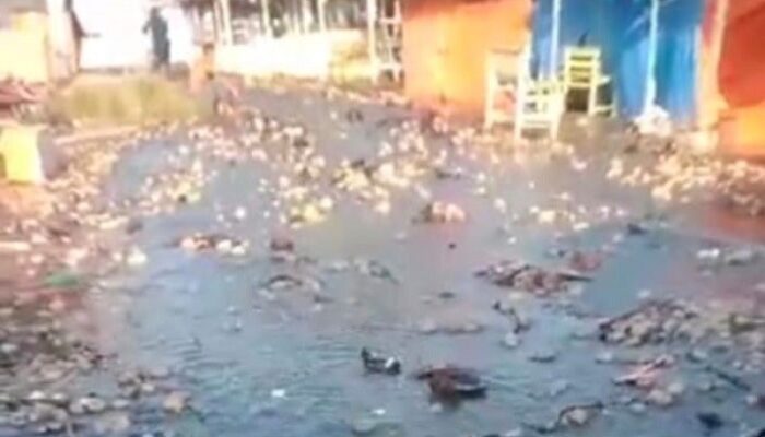 Abrasi Tambah Parah, Air Masuk hingga Pemukiman Warga di Ulakan