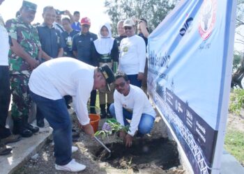 Pantai Muaro Mati Ditanami Seribu Pohon