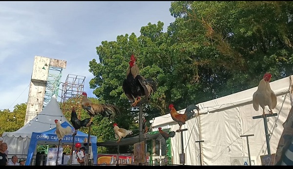 Ratusan orang penghobi ayam hias dari penjuru tanah air, mengikuti helatan West Sumatra Pet Expo atau Wespex 2024, Sabtu (22/6/2024).