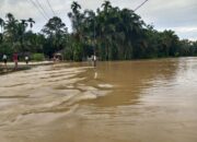 Hujan Deras, Pulau Punjung Direndam Banjir