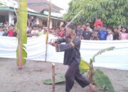 Disaksikan Ratusan Masyarakat, Prosesi Maambiak Batang Pisang Budaya Tabuik Berlangsung