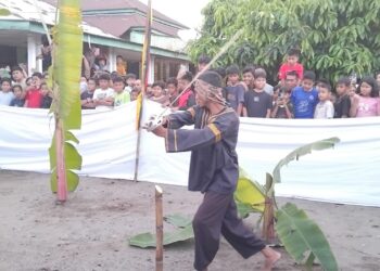Disaksikan Ratusan Masyarakat, Prosesi Maambiak Batang Pisang Budaya Tabuik Berlangsung