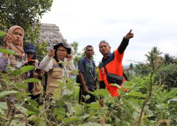 BNPB Siapkan Sistem Peringatan Dini Banjir Lahar Dingin Gunungapi Ibu