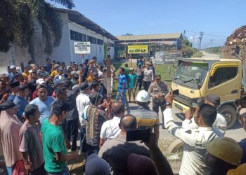 Buntut Dua SK Koperasi Plasma, Operasional Pengolahan Sawit Hasil Kebun PT LIN Terhenti, Nasib 800 Pekerja Terancam