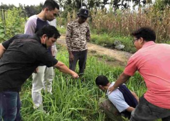 Simpan Narkotika Jenis Sabu, Petani di Halaban Diringkus Polisi