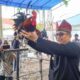Ratusan peserta ikut memeriahkan lomba Ayam Kukuak Balenggek dalam pergelaran HUT Kota Padang ke-355.