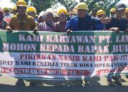 Ratusan Karyawan PT LIN Demo Bupati Pasbar