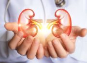 Inilah 5 Cara Mudah Mencegah Gagal Ginjal pada Usia Muda