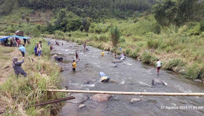 Menjala Ikan Larangan Batu Kasek Nagari Salimpek Dibuka, Peserta Banyak dari Luar Daerah
