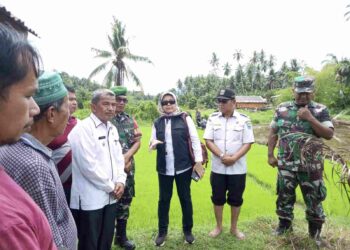 Aktifkan Lahan Tidur, Nagari Lareh Nan Panjang Dikunjungi Kementan