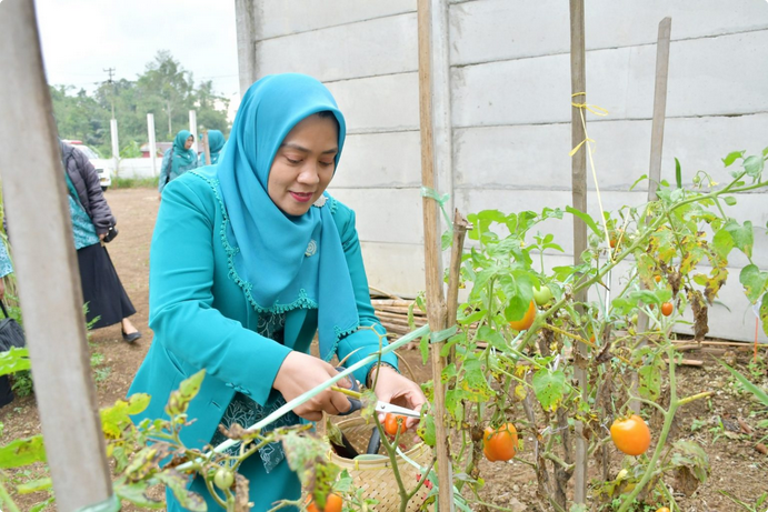 Tim Penggerak Pemberdayaan dan Kesejahteraan Keluarga atau TP PKK didorong untuk terus berinovasi agar menghasilkan program yang berdampak langsung terhadap masyarakat.