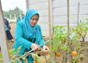 Program PKK Agam Harus Berdampak pada Masyarakat