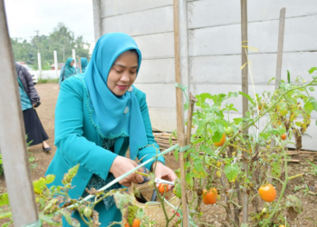 Tim Penggerak Pemberdayaan dan Kesejahteraan Keluarga atau TP PKK didorong untuk terus berinovasi agar menghasilkan program yang berdampak langsung terhadap masyarakat.
