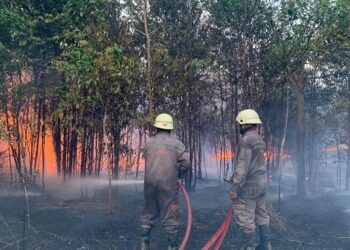 BNPB mencatat luas lahan yang terbakar akibat Kebakaran hutan dan lahan atau karhutla wilayah Kecamatan Bintan Utara mencapai 8 hektare