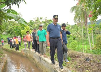 Gubernur Mahyeldi Wujudkan Ketahanan Pangan Sumbar