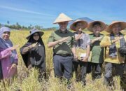Di Penghujung Kepemimpinan Mahyeldi-Audy, Sektor Pertanian Sumbar Menggeliat, Kesejahteraan Petani Meningkat