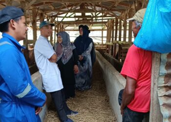 Berdayakan Ekonomi Masyarakat, Dosen UMMY Solok Bimbing Keltan Produksi Biogas