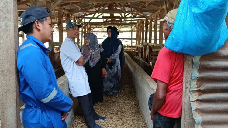 Dosen Peternakan Fakultas Pertanian UMMY Solok saat melakukan kunjungan ke peternakan warga, Selasa (17/9). IST