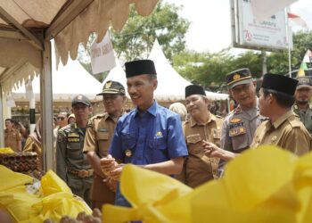 Wabup Solsel Terjunkan Bantuan Pangan dan Operasi Pasar Murah di SBJ