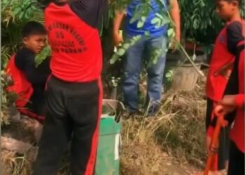 World Clean-up, Pelajar TK Hingga Perguruan Tinggi Peduli Lingkungan