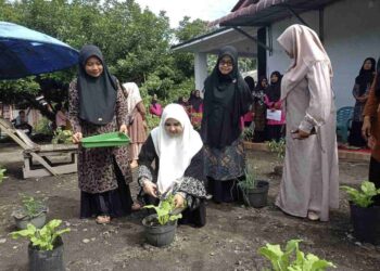 Nevi Zuairina Dorong KWT di Pasaman Barat Wujudkan Ketahanan Pangan Keluarga