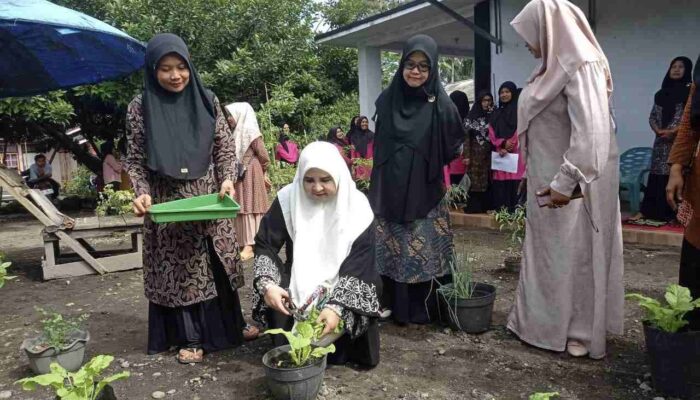 Nevi Zuairina Dorong KWT di Pasaman Barat Wujudkan Ketahanan Pangan Keluarga