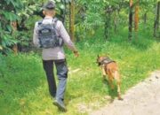 Polisi Buru Tersangka Kasus Pembunuhan NKS