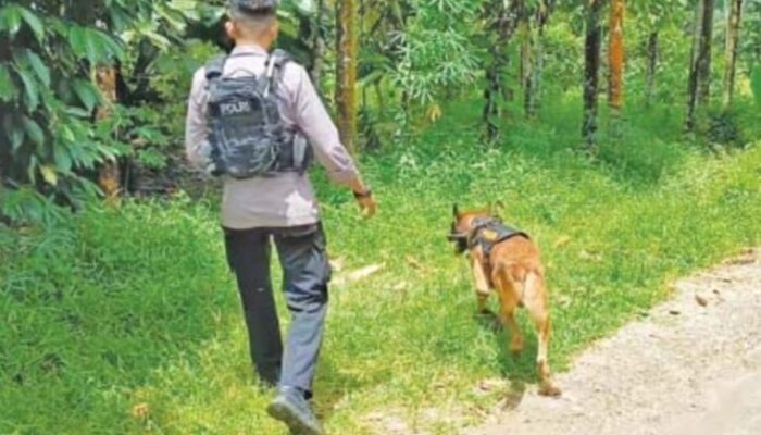 Polisi Buru Tersangka Kasus Pembunuhan NKS