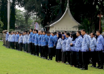 Selain suara pemilih mula dan muda, Aparatur Sipil Negara (ASN) juga menjadi kelompok pemilih yang menjanjikan dalam Pilkada 2024. 