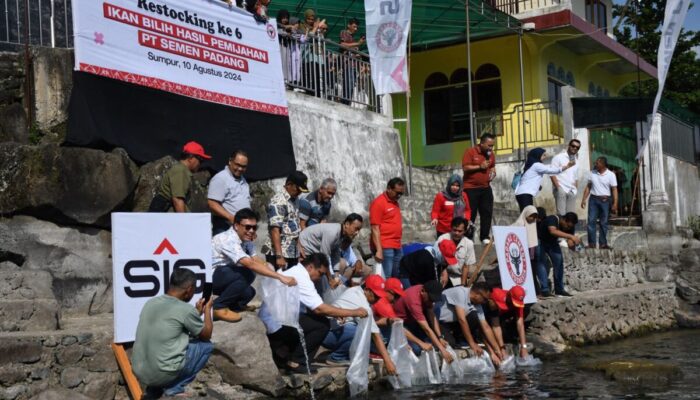 PT Semen Padang Restocking 3000 Ekor Ikan Bilih di Danau Singkarak