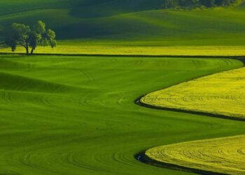 Pendirian BUMD Agro Lebih Efektif Dibanding Menjadikan BLUD